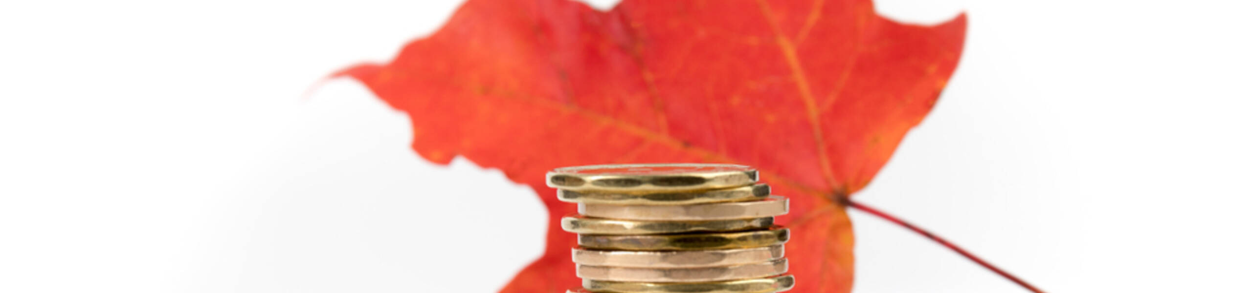 Kekuatan Bearish Menekan USDCAD